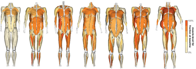 Multi-scale machine learning model predicts muscle and functional disease progression.