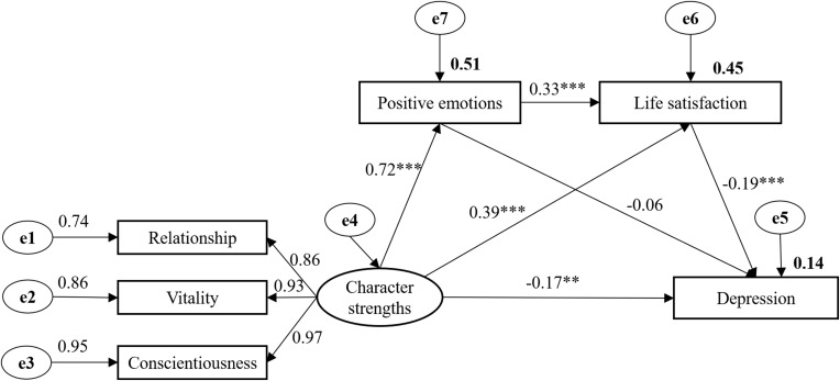 Effects of Character Strengths on Depression in Military College Students: The Chain Mediating Role of Positive Emotions and Life Satisfaction in a Cross-Sectional Study.