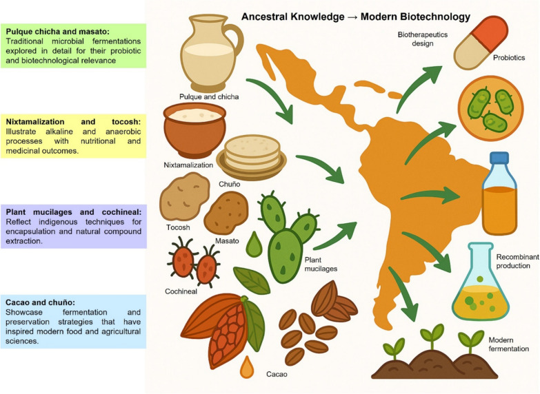 From forgotten to frontier: vindicating Latin America's indigenous biotechnology.