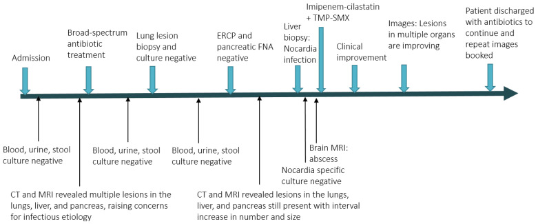 The Diagnostic Challenges of Disseminated Nocardiosis in a Post-Renal Transplant Patient: A Case Report.