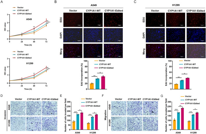Correction: A novel mechanism for A-to-I RNA-edited CYP1A1 in promoting cancer progression in NSCLC.