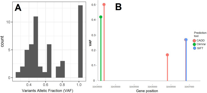 Genetic profile of ASXL1 gene in risk assessment in acute myeloid leukemia.