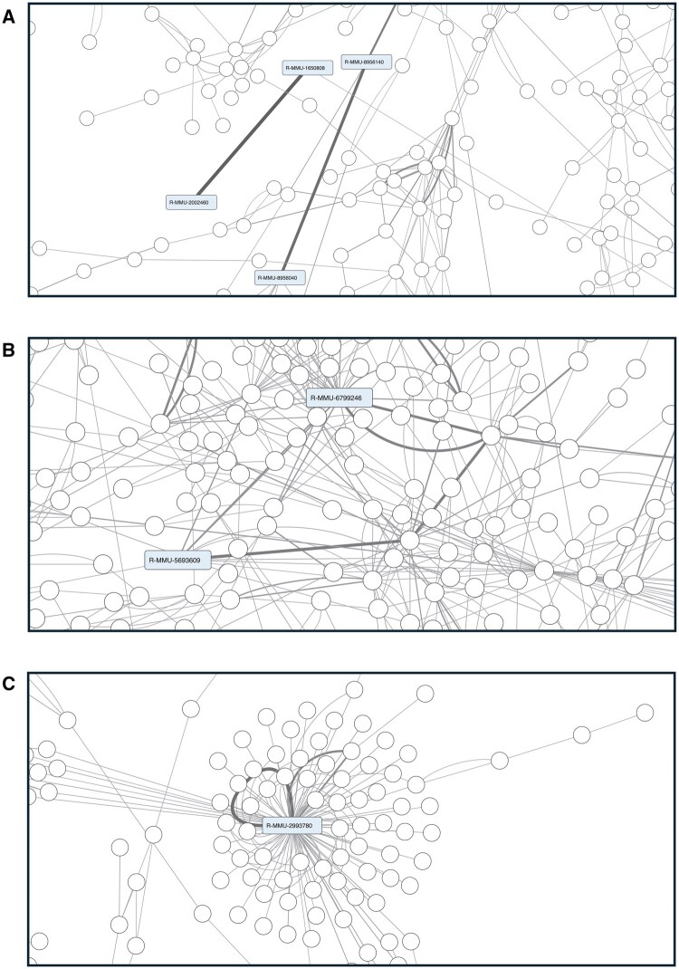 Application of a metabolic network-based graph neural network for the identification of toxicant-induced perturbations.