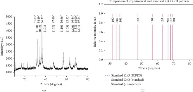 Multifunctional ZnO Nanoparticles Synthesized Using <i>Spirodela polyrhiza</i> Extract: Characterization, Photocatalytic Activity, Antimicrobial Assessment, and In Silico Modeling.