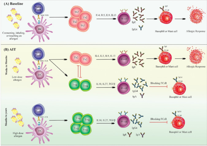 Advances in Shellfish Allergy Therapy: From Current Approaches to Future Strategies.