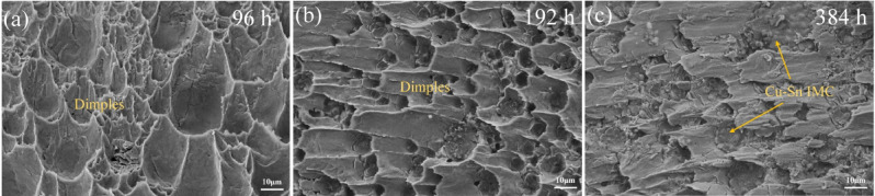Effect of Sn grain orientation on microstructure and mechanical properties of pure Sn solder joints under thermoelectric coupling.