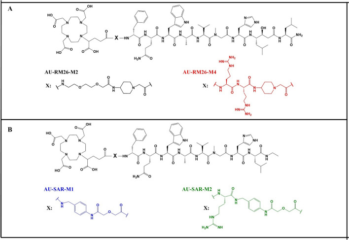 RM2 and DB15 analogues bearing [177Lu]Lu-DOTAGA via different linkers, as radiotherapeutics: a head-to-head comparative study