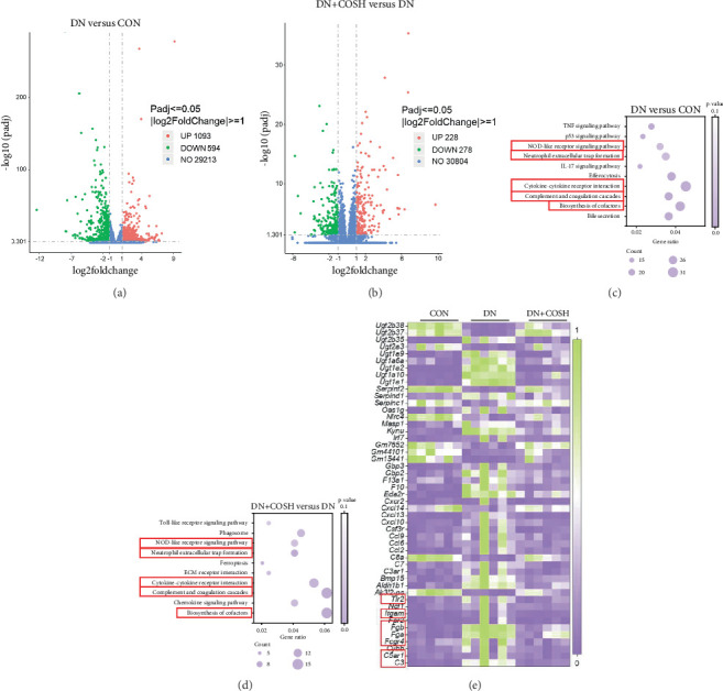 Costunolide Reduces DN Inflammatory Response and Renal Thrombosis by Inhibiting NET Formation.