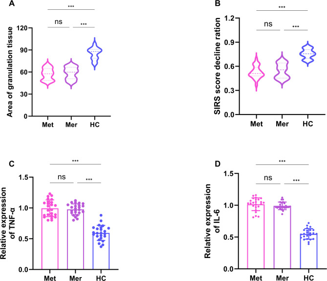 In vitro activity of Houttuynia cordata against bacteria isolated from diabetic foot.
