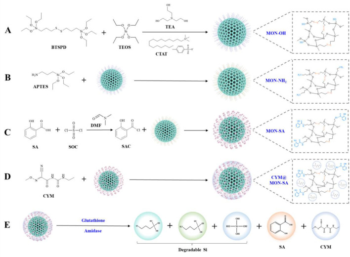 Fabrication of a dual-stimuli-responsive mesoporous organosilica nanoplatform for co-delivery of fungicide and plant immune inducer toward synergistic disease management.