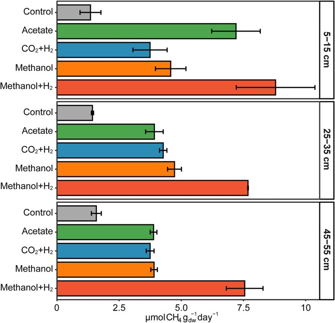 A ubiquitous and diverse methanogenic community drives microbial methane cycling in eutrophic coastal sediments.