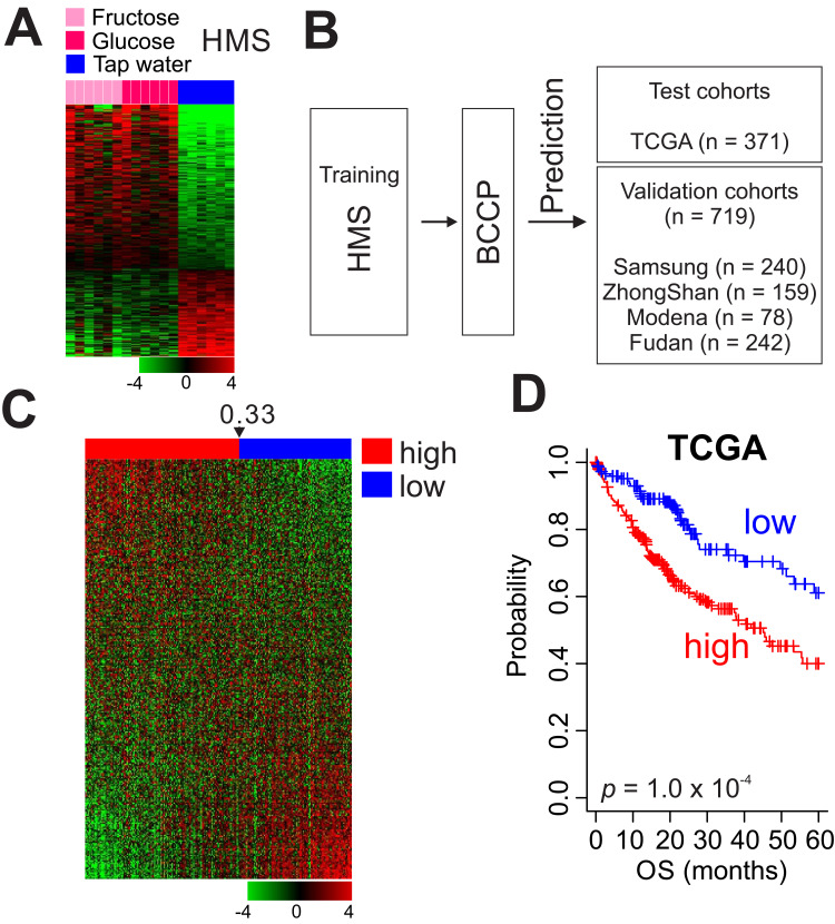 Hepatic Metabolic Signature and Its Association with the Response to Immunotherapy in Hepatocellular Carcinoma.