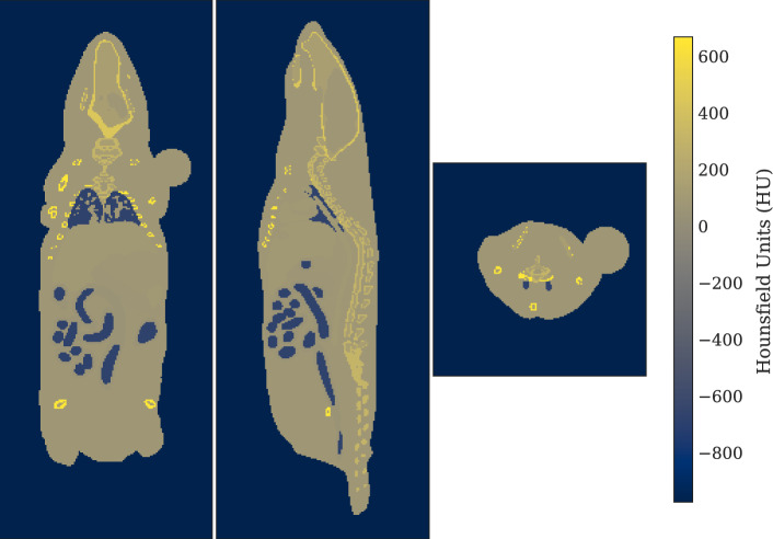S-values for bone marrow dosimetry in preclinical radiopharmaceutical studies with rodents.