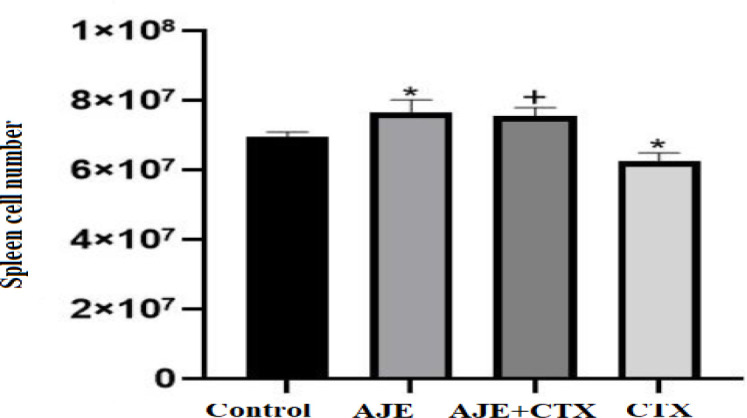 Exploring the immune-boosting and hepatoprotective potential of <i>Allium jesdianum</i> against cyclophosphamide-induced toxicity in mice: A promising approach for immunomodulation.