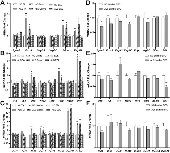 Lymphatic dysfunction correlates with inflammation in a mouse model of amyotrophic lateral sclerosis.