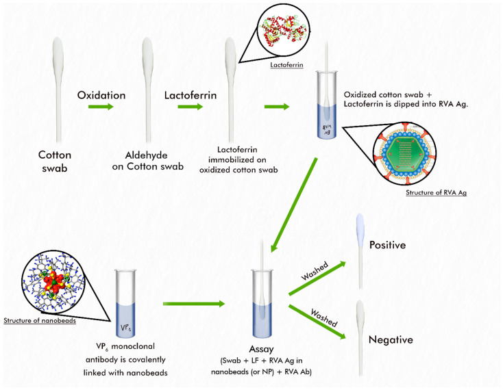 Development and Evaluation of a Nanoparticle-Based Immunoassay for Rotavirus Detection: A Suitable Alternative to ELISA and PCR in Low-Income Setting.