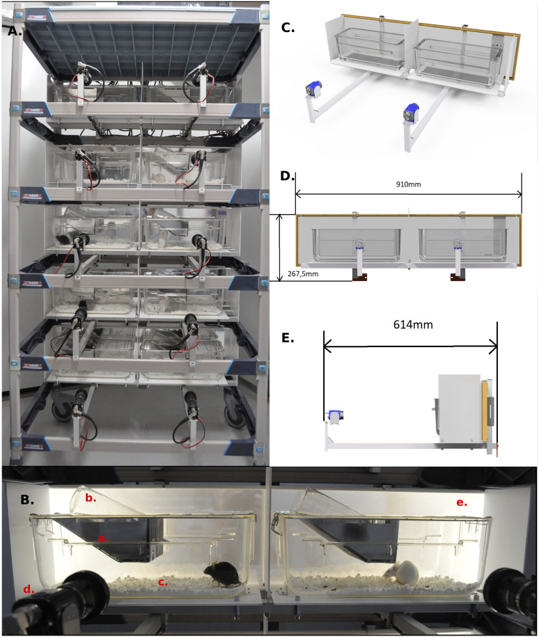 DeepEthoProfile-Rapid Behavior Recognition in Long-Term Recorded Home-Cage Mice.