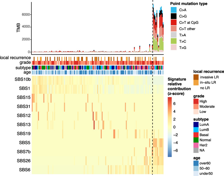 Mutational landscape of pure ductal carcinoma in situ and associations with disease prognosis and response to radiotherapy.