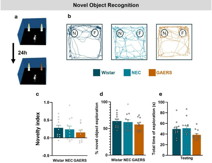 Impairment of Spatial Working Memory but Preservation of Recognition Memory in Female Rats with Spontaneous Absence Seizures