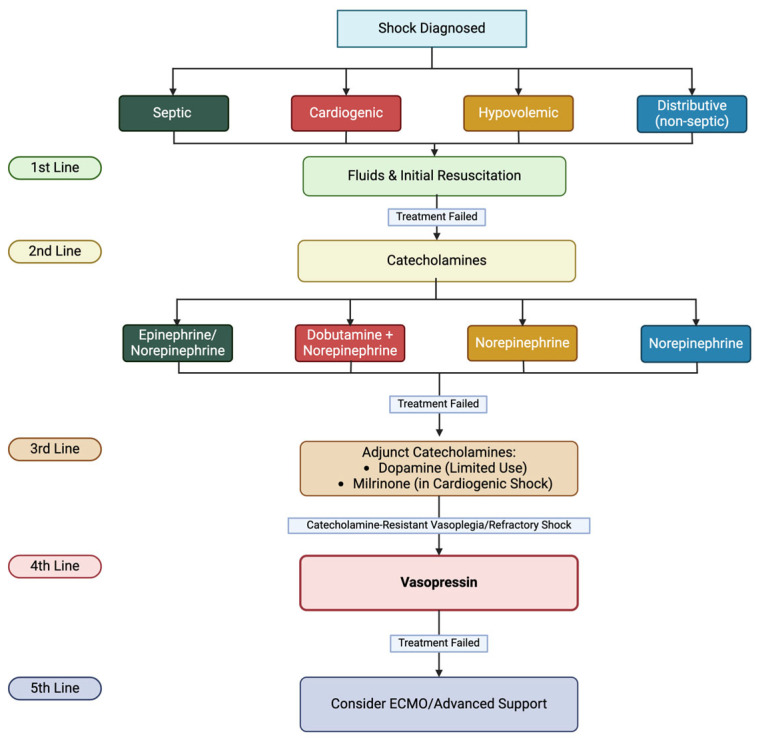 High-Stakes Hormone: Vasopressin Use as a Last-Line Therapy for Shock in Pediatrics-A Narrative Review.