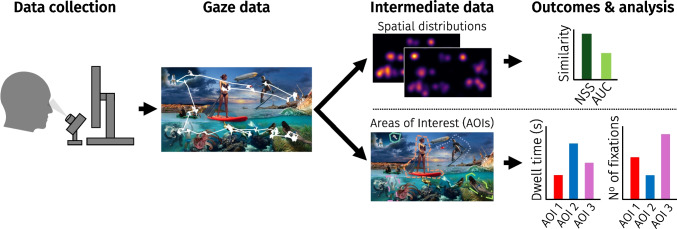 When is enough enough? Empirical guidelines to determine participant sample size for scene viewing studies.