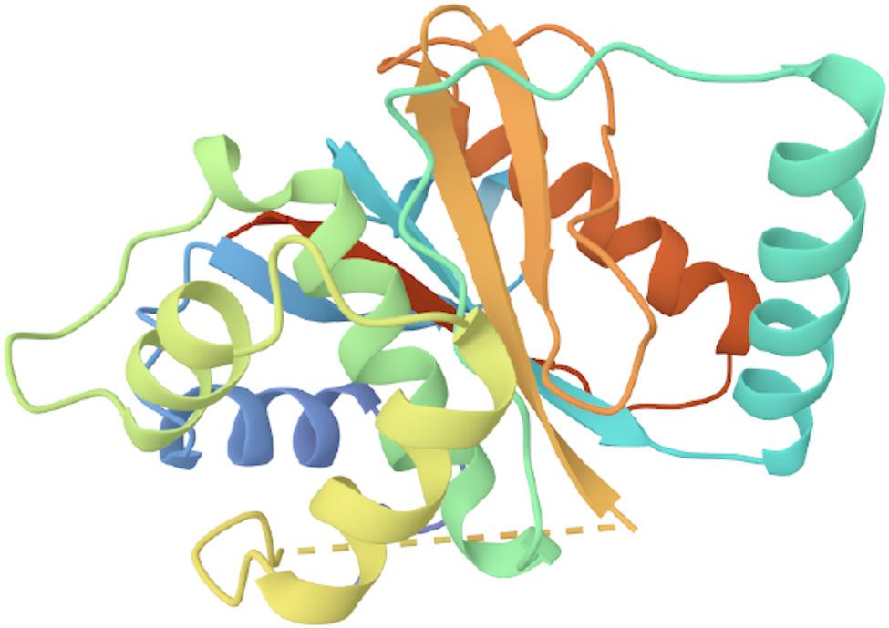 UCHL3: a crucial deubiquitinase in DNA damage repair and tumor progression.