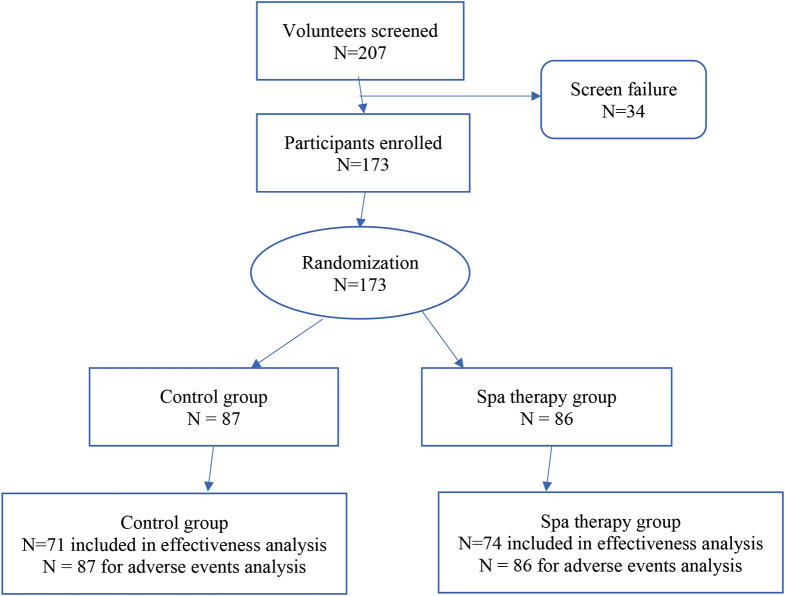 The effectiveness of a 3-week spa therapy on the 6-month mobility and functional ability of patients with knee osteoarthritis: the ANGELLO randomized controlled trial
