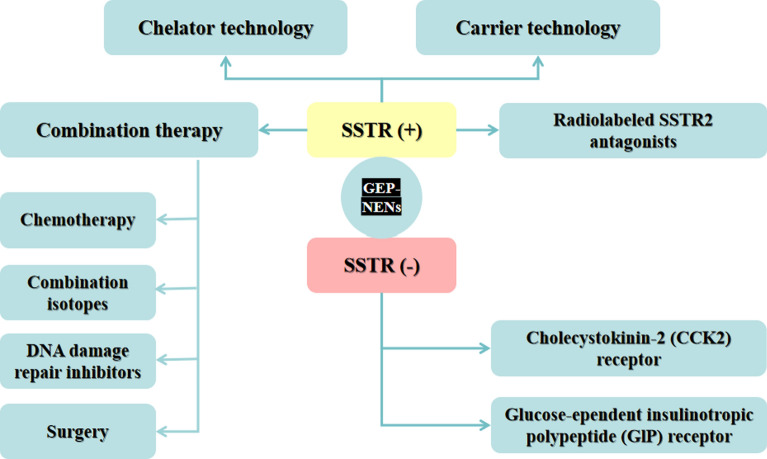 Clinical application of targeted α-emitter therapy in gastroenteropancreatic neuroendocrine neoplasms.