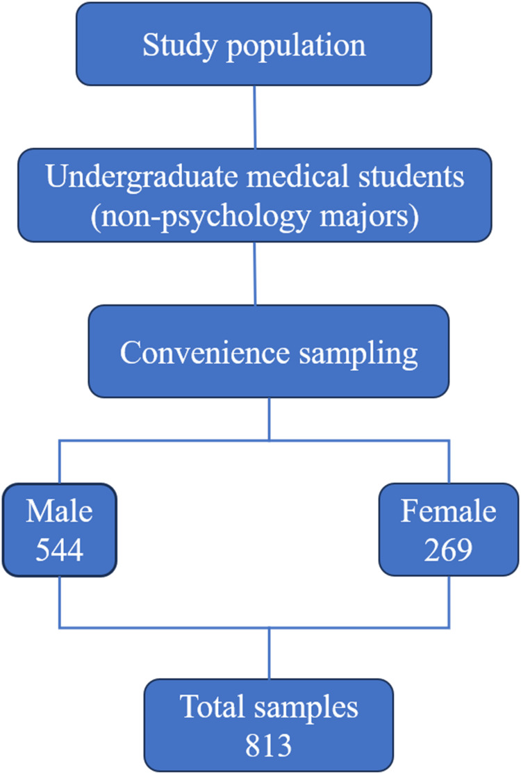 Effects of Character Strengths on Depression in Military College Students: The Chain Mediating Role of Positive Emotions and Life Satisfaction in a Cross-Sectional Study.