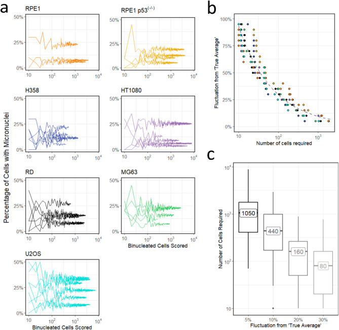 Unravelling the impact of linear energy transfer on micronuclei induction from proton and photon irradiation.