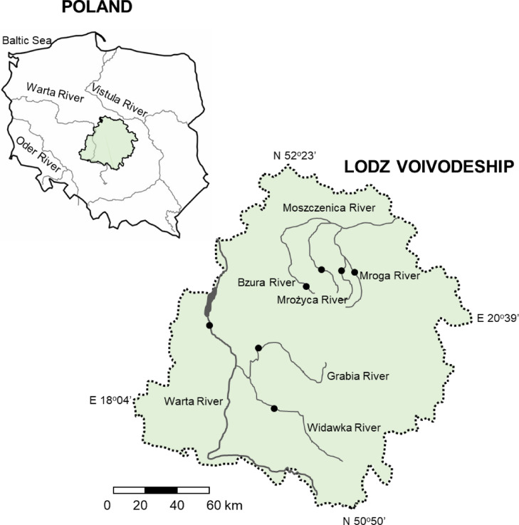 Drivers and metacommunity perspective of differences in regional species richness between main chironomid taxa inhabiting temperate zone rivers.