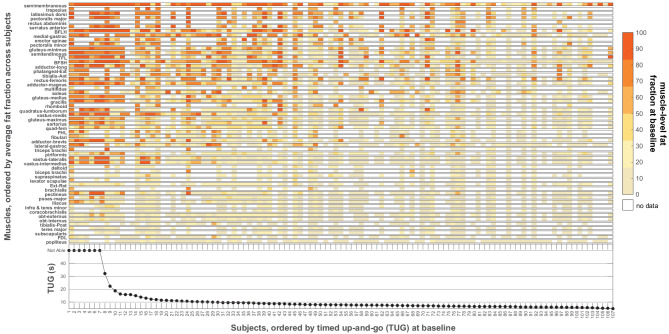 Multi-scale machine learning model predicts muscle and functional disease progression.