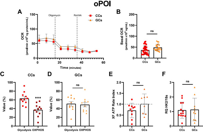 Energy imbalance in oPOI ovarian granulosa cells is linked to reduced glucose bioavailability and metabolism.