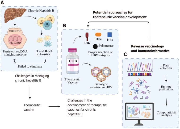 Advancing therapeutic vaccines for chronic hepatitis B: Integrating reverse vaccinology and immunoinformatics.
