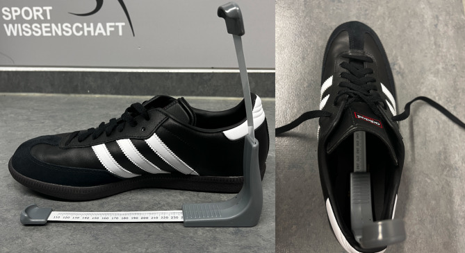 A potential relationship between soccer shoes and pes cavus: a pilot study.