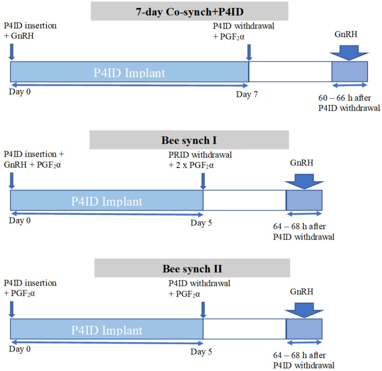 Ovarian follicular responses to estrus and ovulation synchronization protocols in East African Shorthorn Zebu cattle.