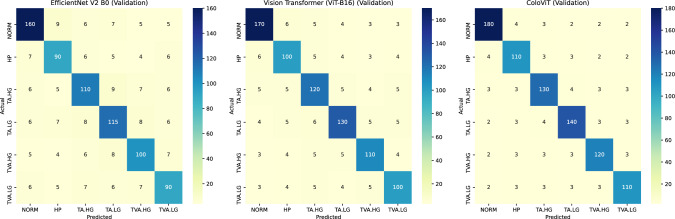 ColoViT: a synergistic integration of EfficientNet and vision transformers for advanced colon cancer detection.