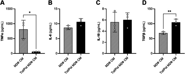 A Macrophage-Based Cell Therapy Approach Promotes Collagen Deposition in Diabetic Wounds.