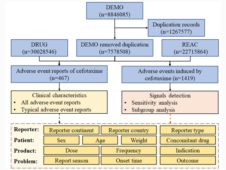 Exploration of adverse event profiles for cefotaxime: a disproportionality analysis using the FDA adverse event reporting system.