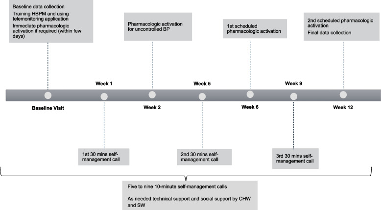 Piloting a team-based telemedicine care for hypertension focused on Black patients.