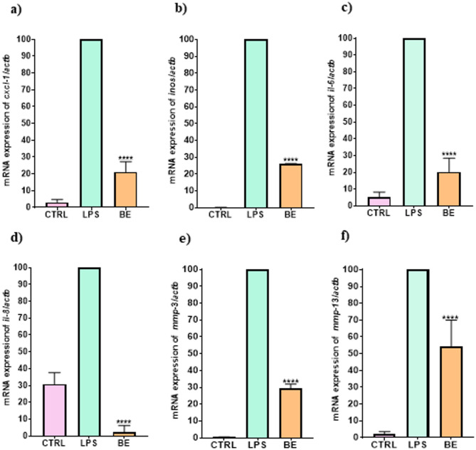 Unveiling the therapeutic potential of phenolic compounds from Boletus edulis in osteoarthritis treatment.