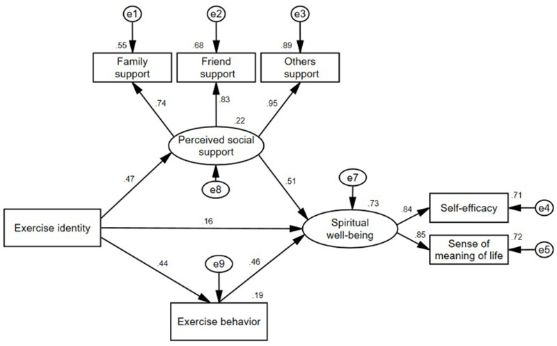 Exercise Identity and Spiritual Well-Being in Nursing Home Residents: Mediating Roles of Social Support and Exercise Behavior in Hebei Province, China.