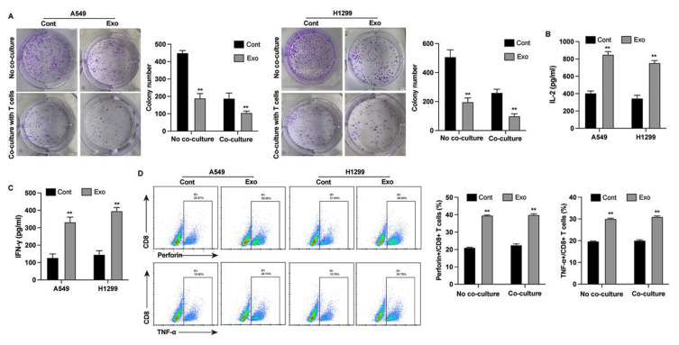 Ginseng-Derived Exosomes Attenuate Immune Evasion in NSCLC via PD-L1 Modulation.