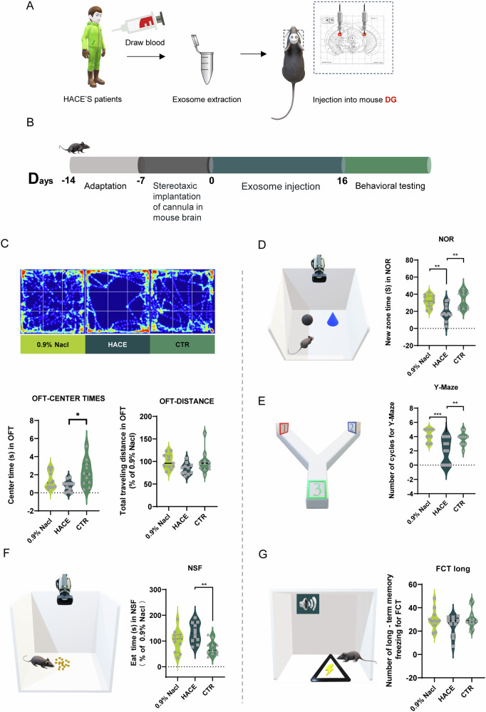 Exosomes from high-altitude cerebral edema patients induce cognitive dysfunction by altering oxidative stress responses in mice.