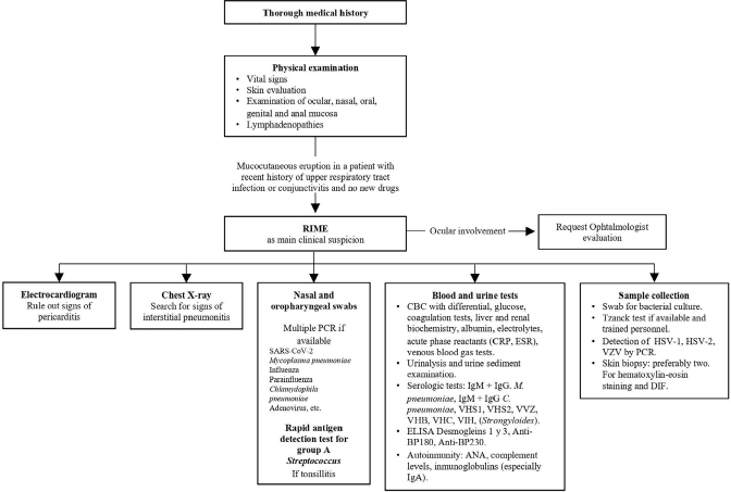 Reactive Infectious Mucocutaneous Eruption (RIME): Narrative Review and Proposed Management Algorithm.