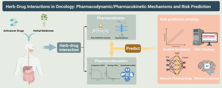 Herb-drug interactions in oncology: pharmacodynamic/pharmacokinetic mechanisms and risk prediction.