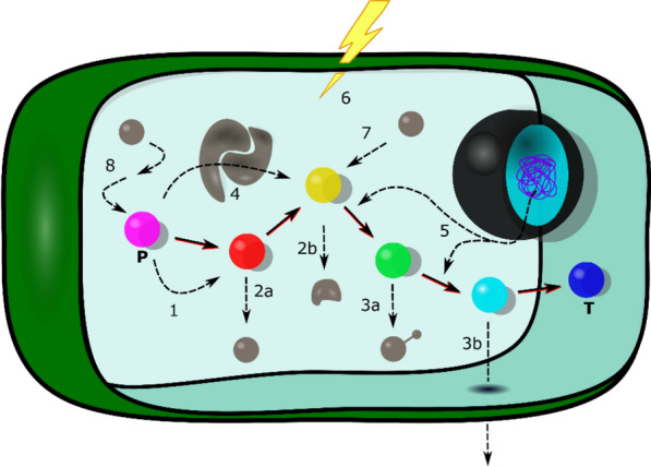 Nature's laboratory: plant metabolic engineering methods using phenylpropanoids as a case study
