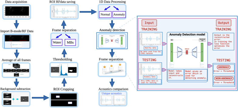 Harnessing chemically crosslinked microbubble clusters using deep learning for ultrasound contrast imaging.