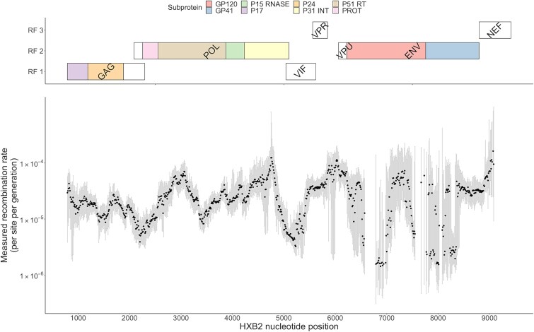 Estimates of HIV-1 within-host recombination rates across the whole genome.