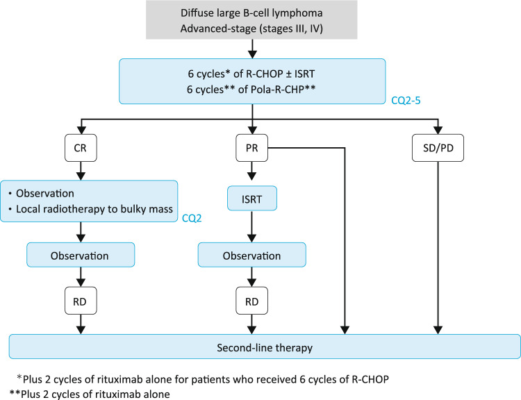 JSH practical guidelines for hematological malignancies, 2023: II. Lymphoma5. Diffuse large B-cell lymphoma, not otherwise specified (DLBCL, NOS).